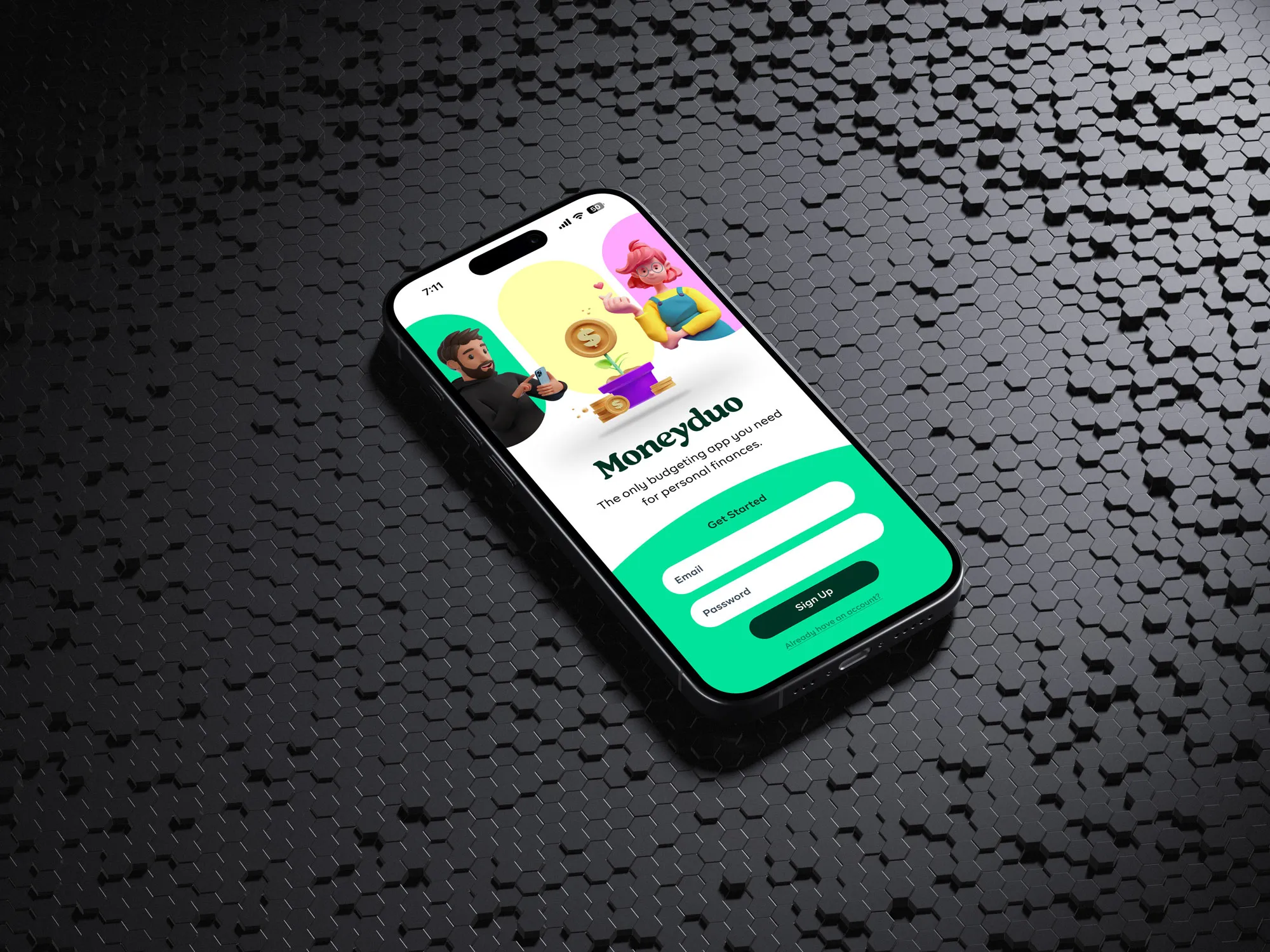 Moneyduo case study cover